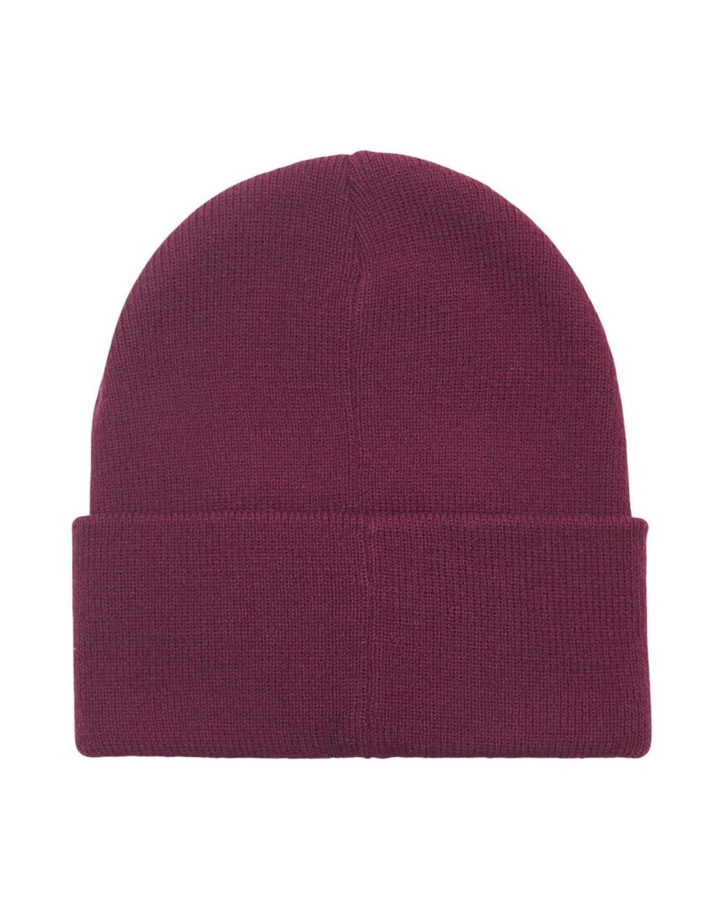 Beanies di Obey in Purple
