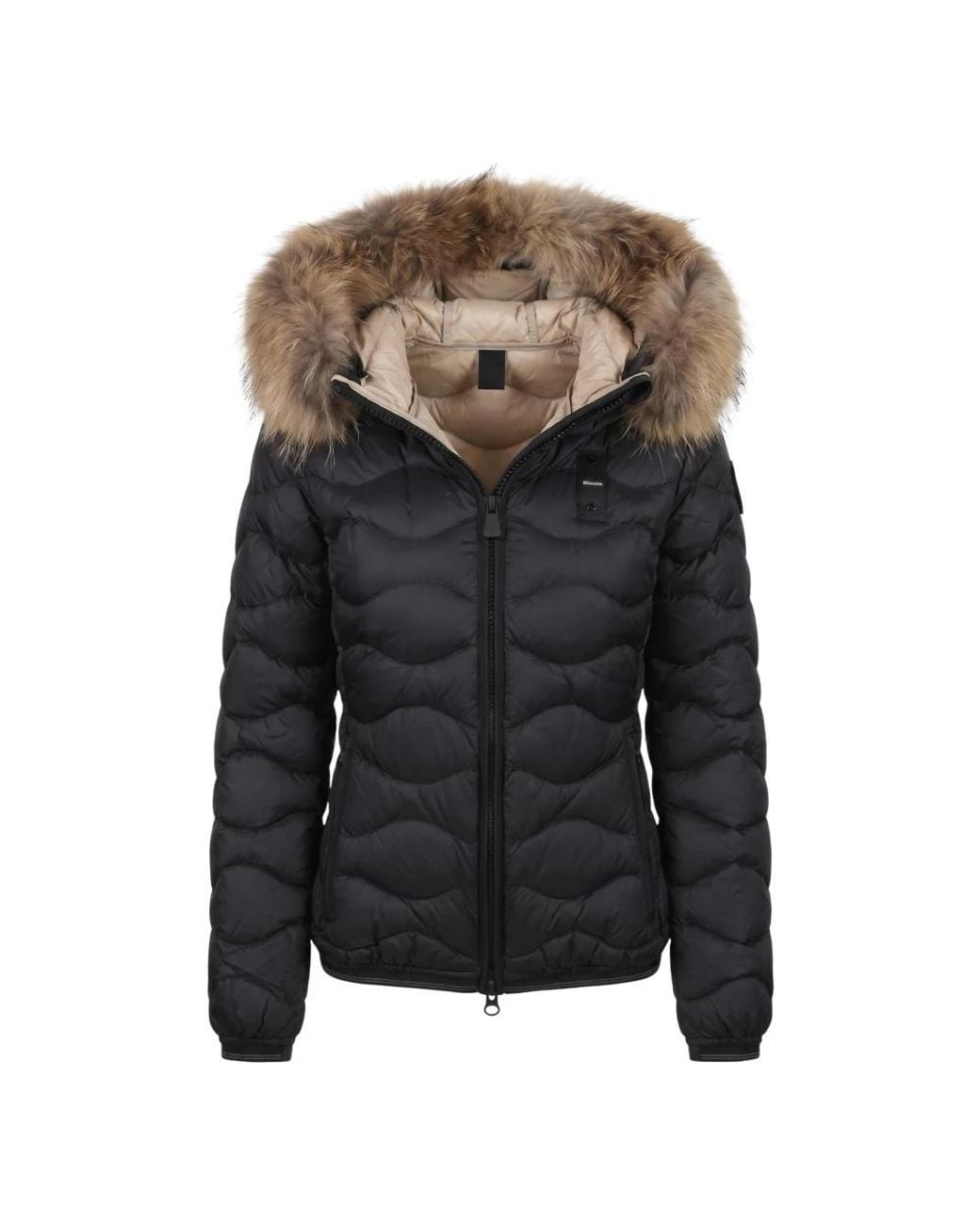 Blauer Black Winter Jackets