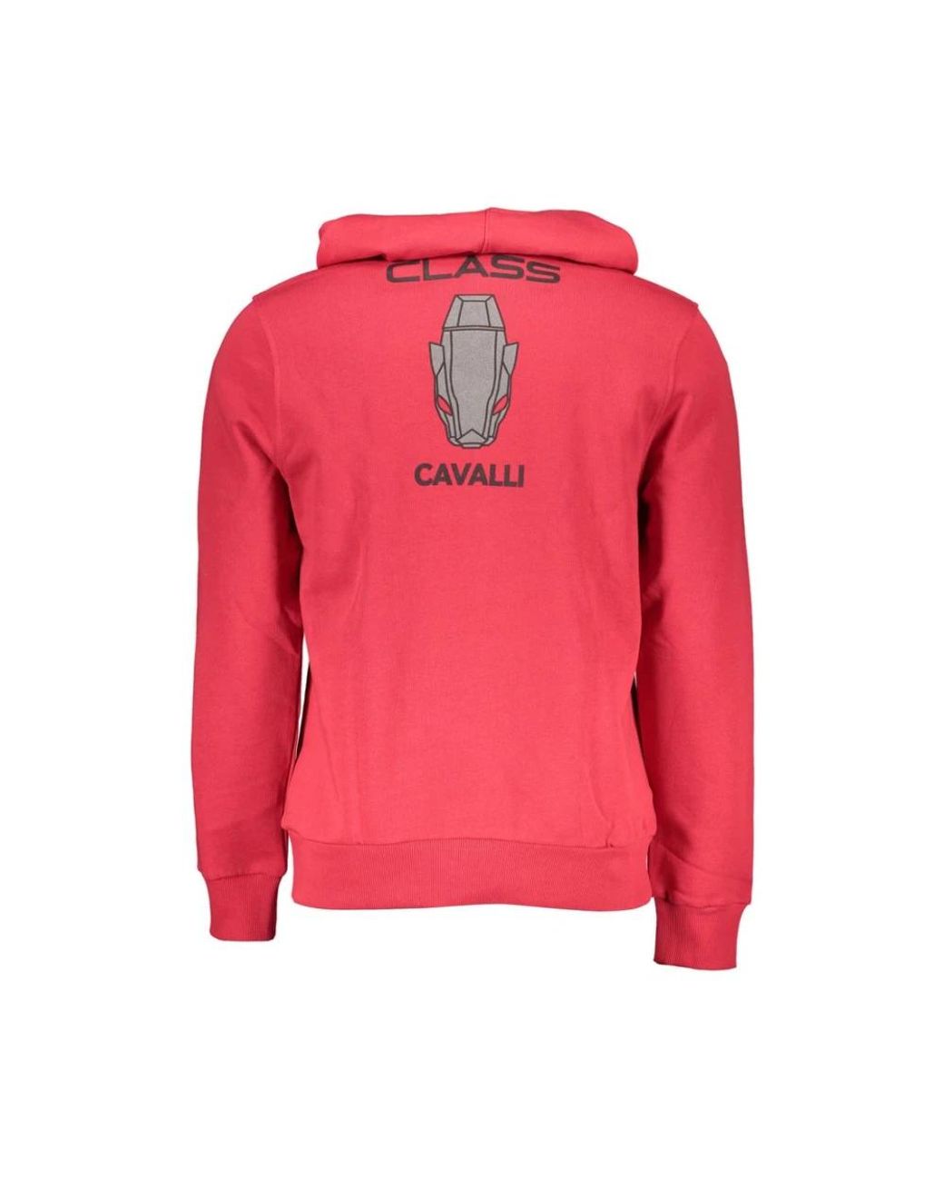 Roberto Cavalli Pink Hoodies for men