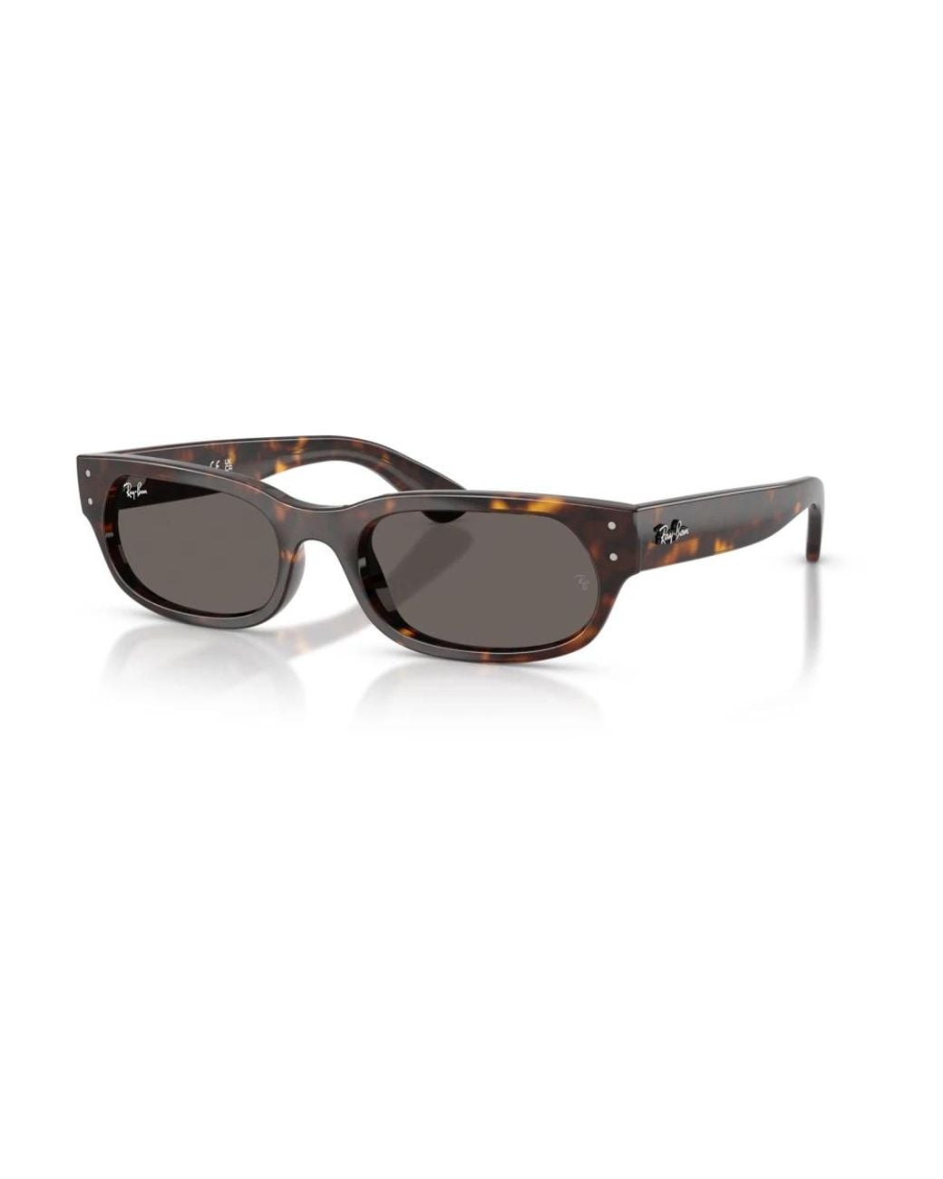 Ray-Ban Gray Sunglasses