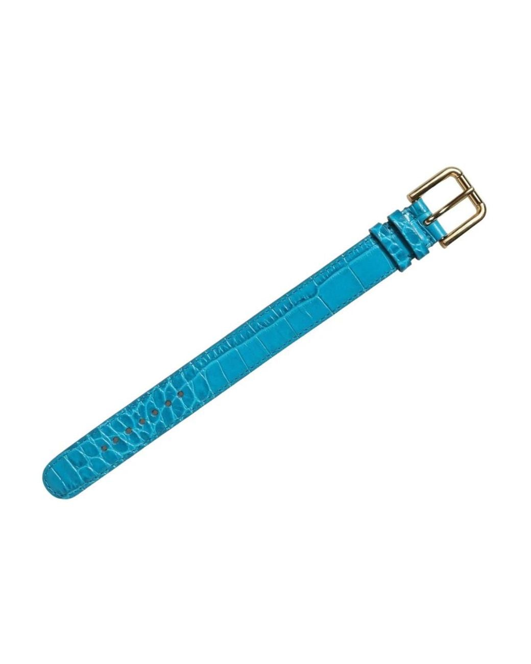 Dolce & Gabbana Blue Belts