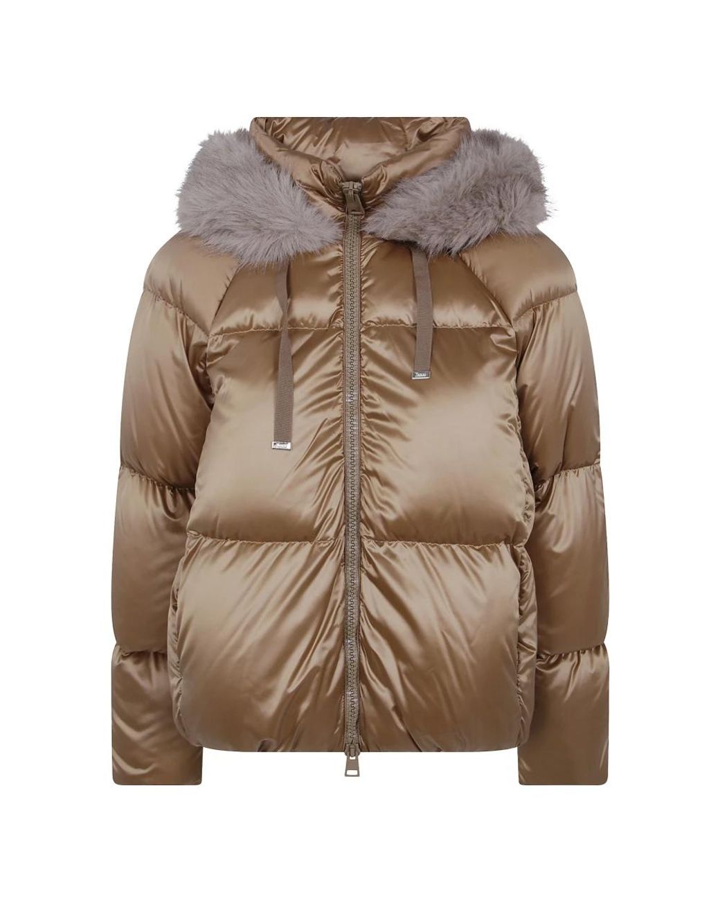 Winter Jackets Herno en coloris Brown