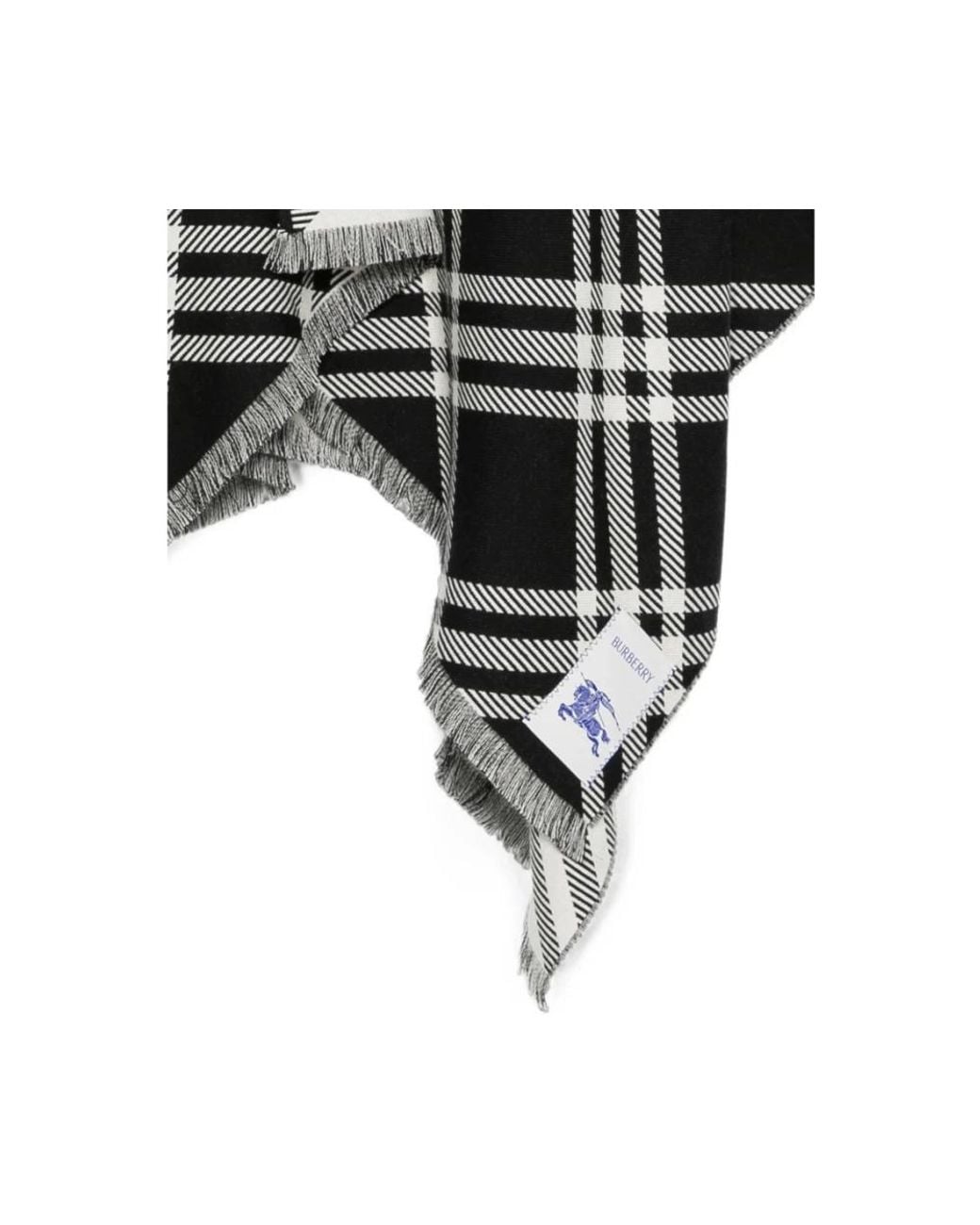 Burberry Black Winter Scarves