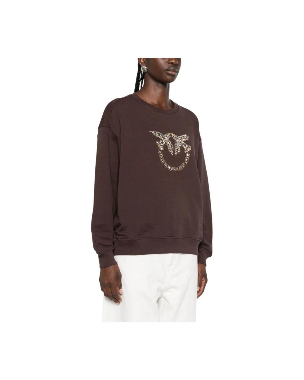 Pinko Brown Sweatshirts