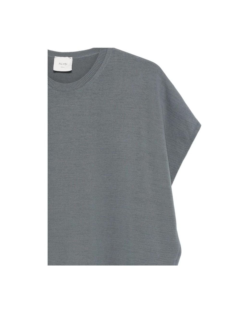 Alysi Gray Round-Neck Knitwear