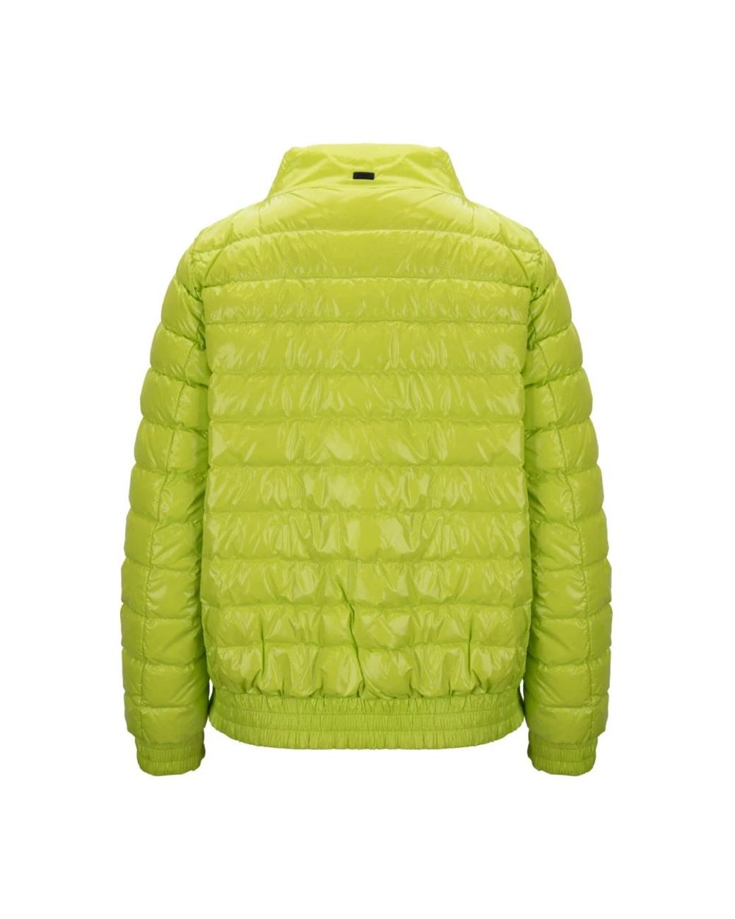 Down Jackets Herno en coloris Green