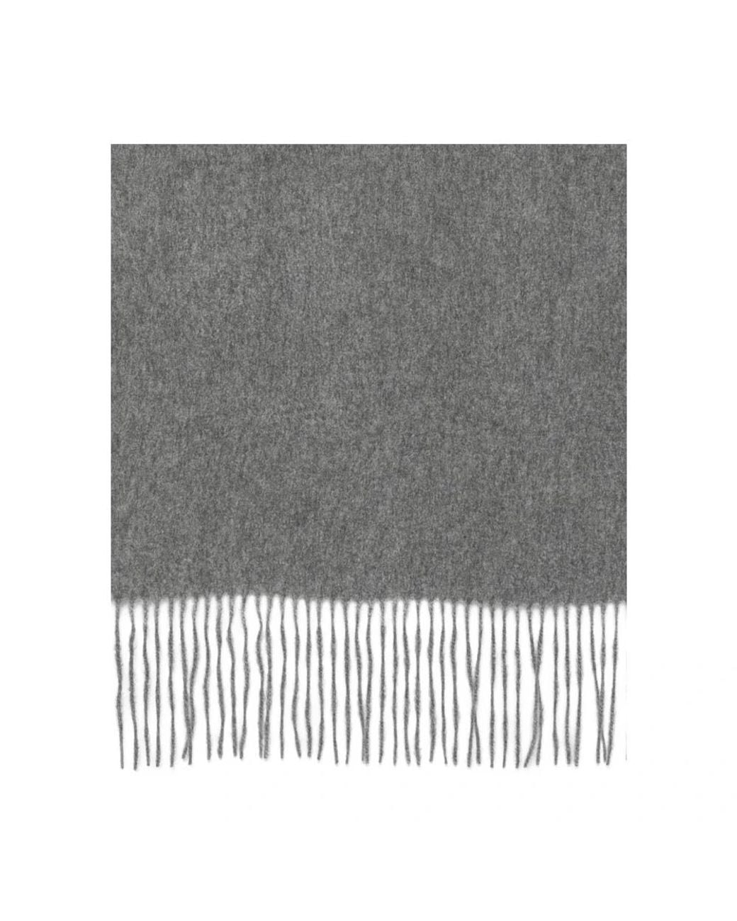 C.T.Plage Gray Winter Scarves