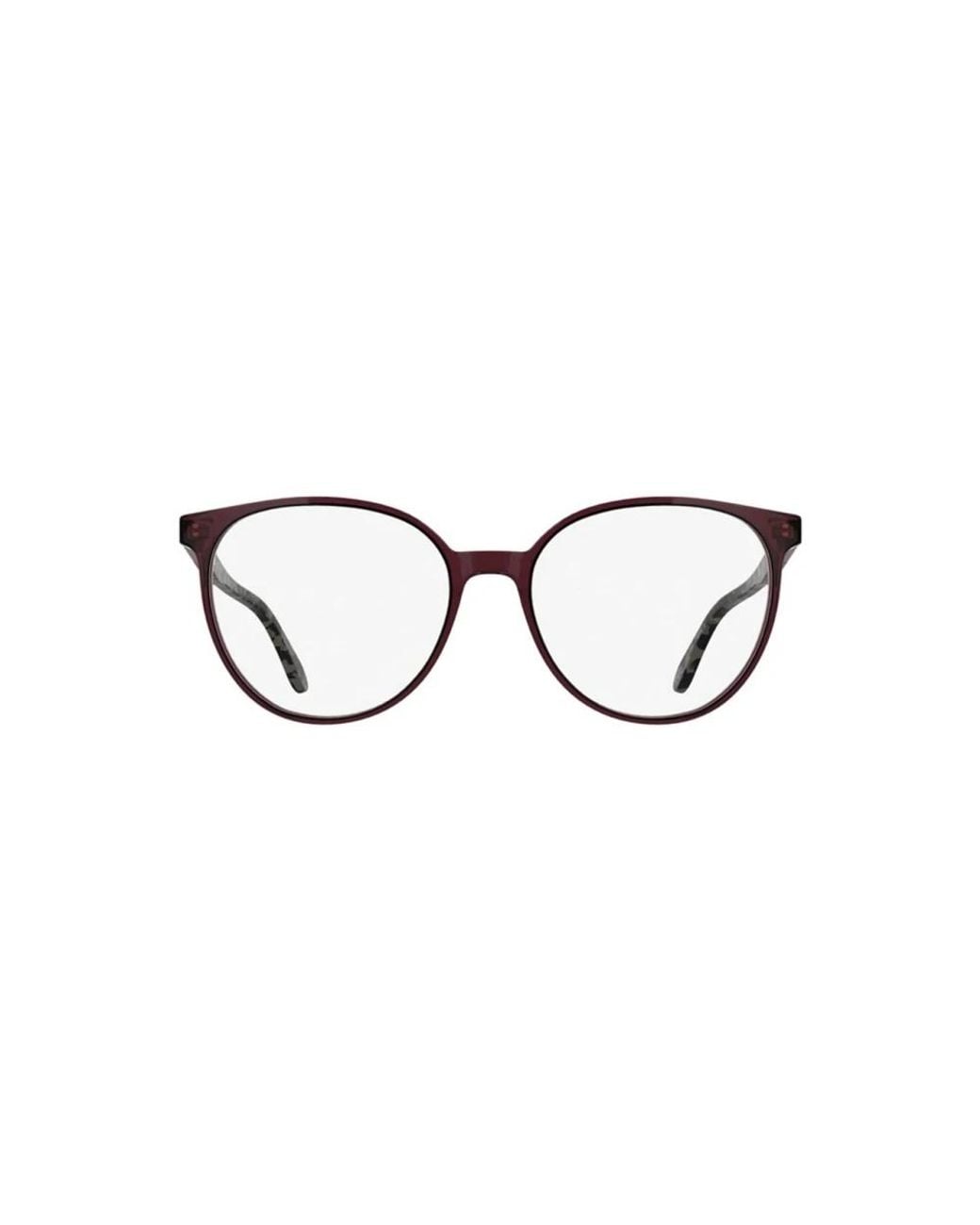 Lacoste Brown Glasses