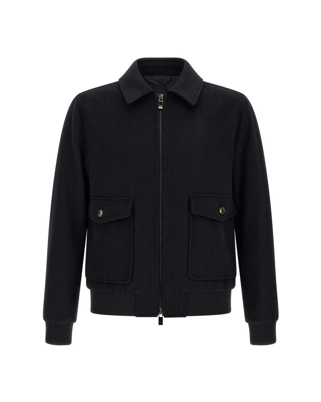 Pal Zileri Blue Light Jackets for men