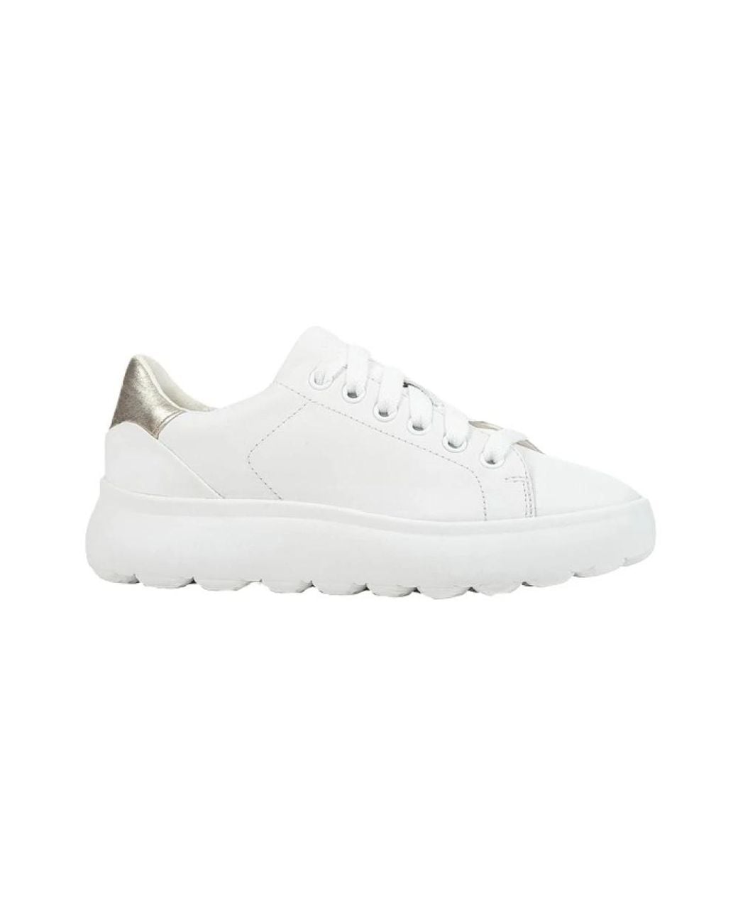 Sneakers Geox en coloris White