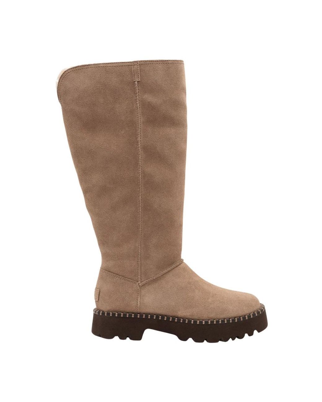 Ugg Brown Uptowner Tall Boot