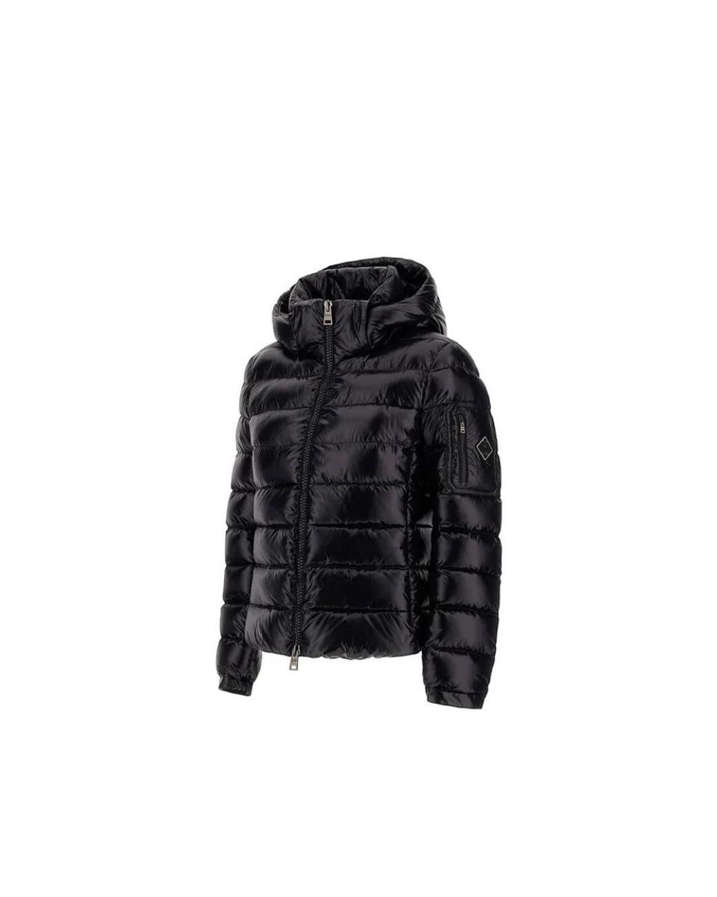 Down Jackets Herno en coloris Black