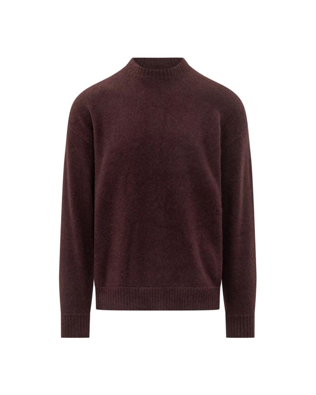 Laneus Purple Round-Neck Knitwear for men