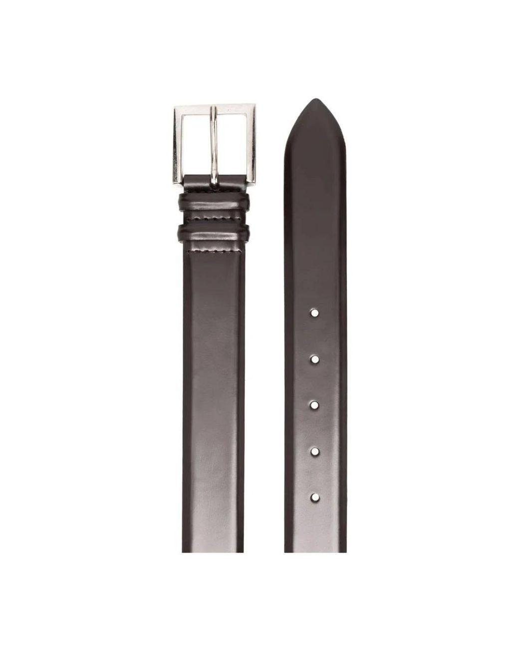 Belts Orciani de hombre de color Brown