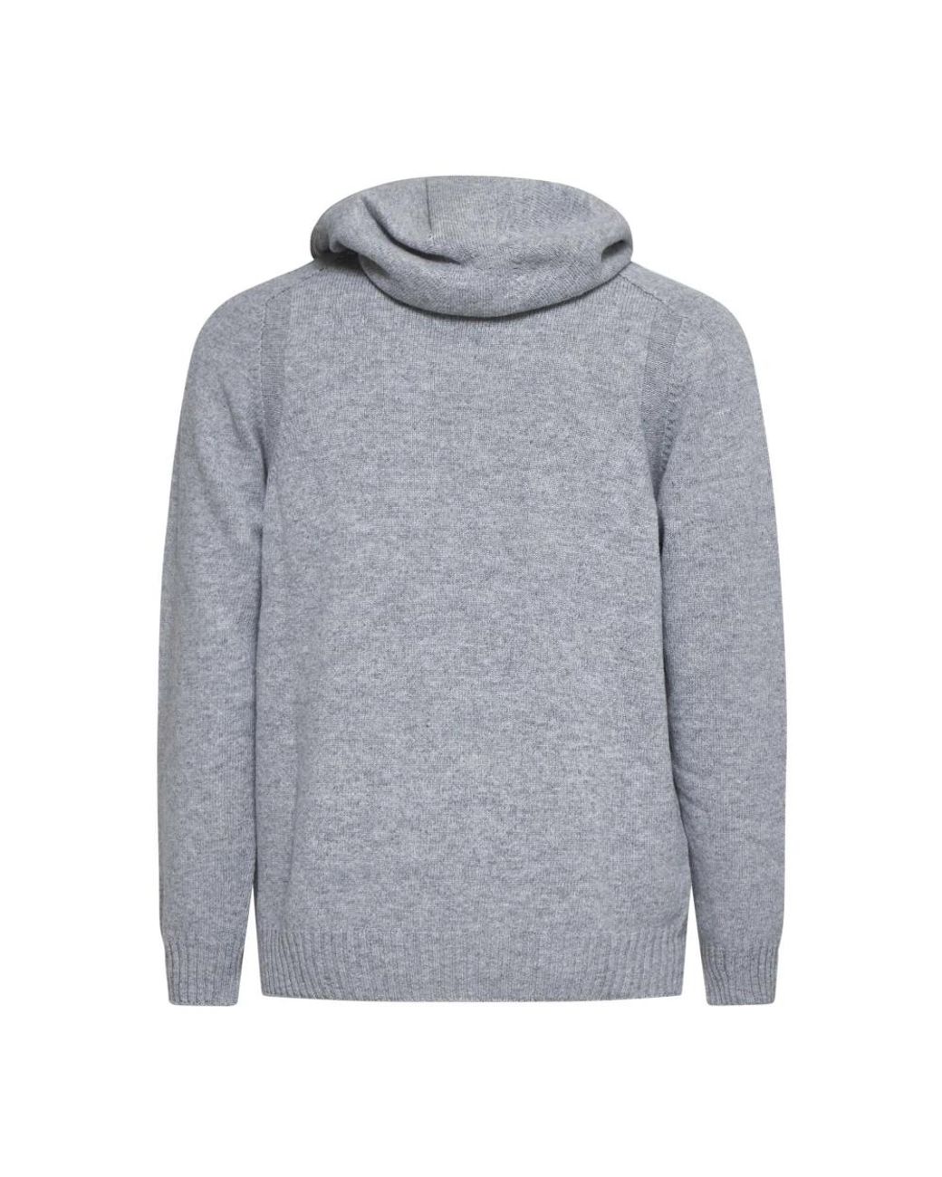 Hoodies D4.0 pour homme en coloris Gray