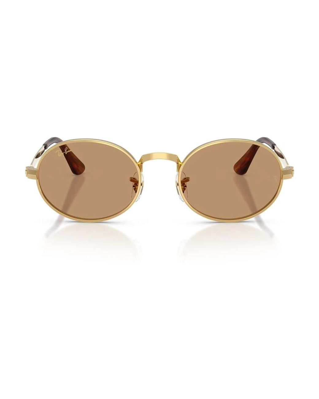 Ray-Ban Brown Sunglasses
