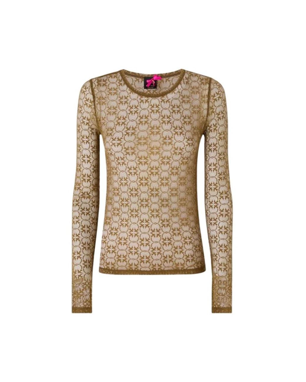 Pinko Maglia Pizzo Stretch in het Brown