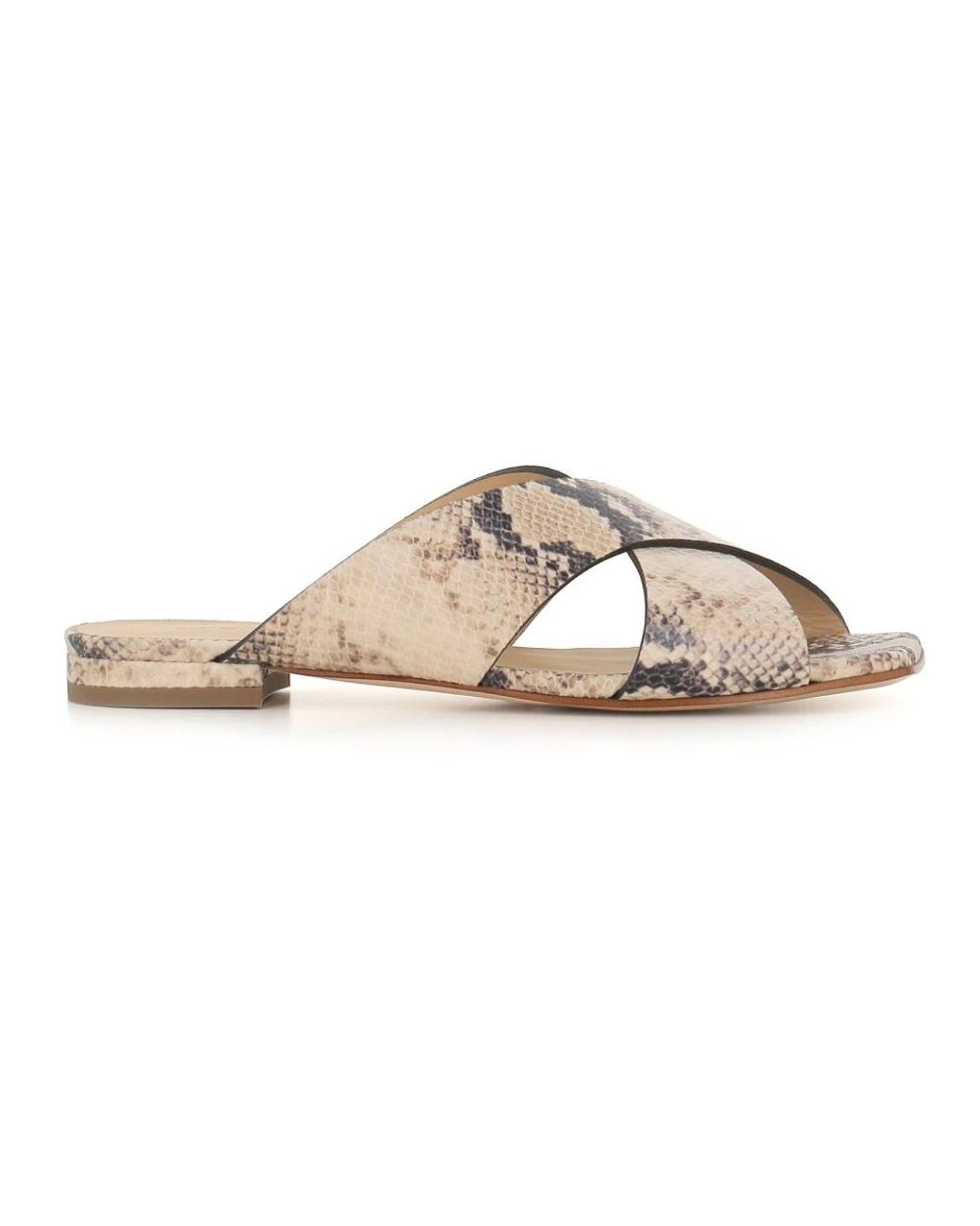 Sergio Levantesi Multicolor Mules Aus Leder Mit Python-Effekt