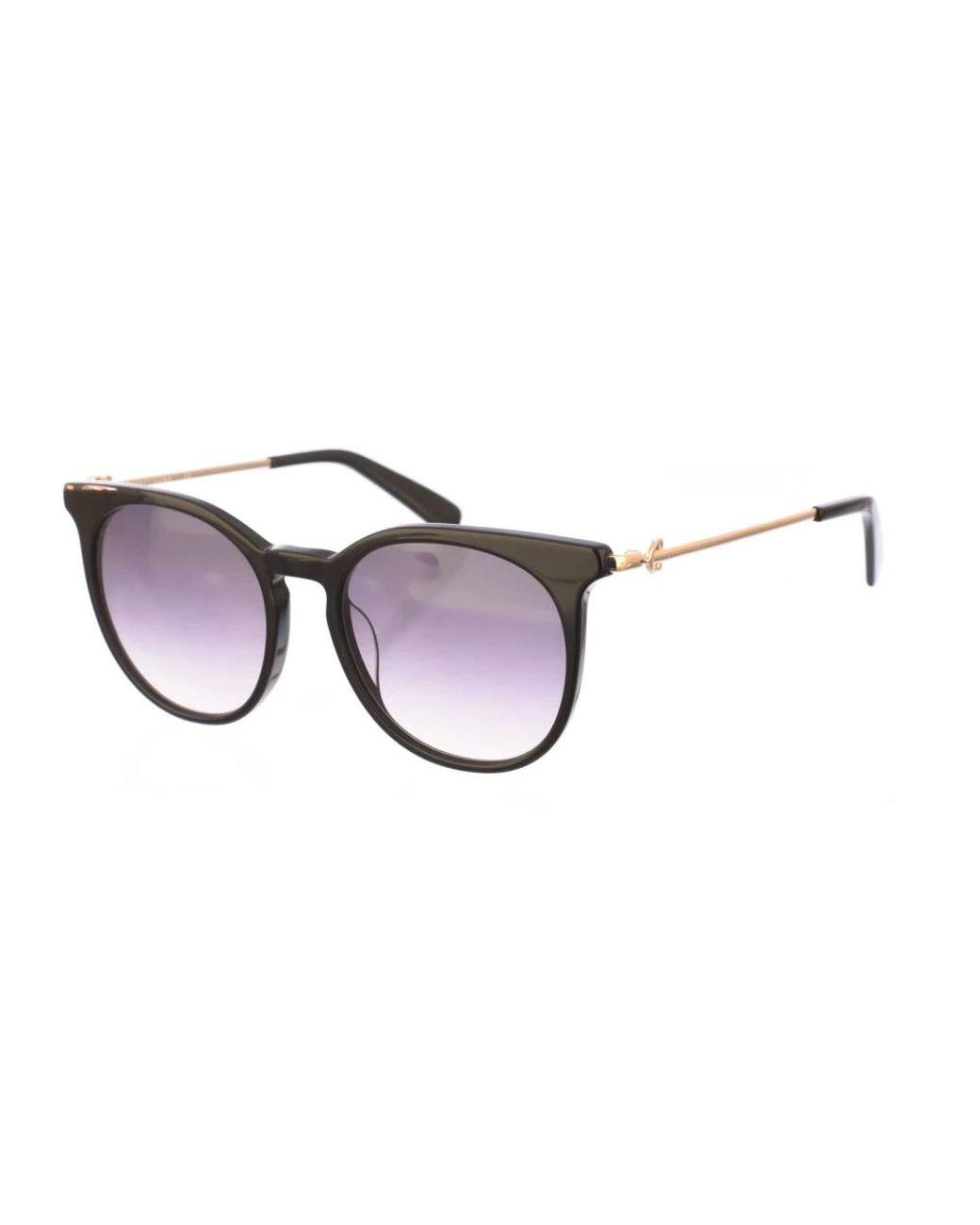 Longchamp Accessoires ,Zwart ,Ovale Acetaat Zonnebril Met Uv-Bescherming in het Brown