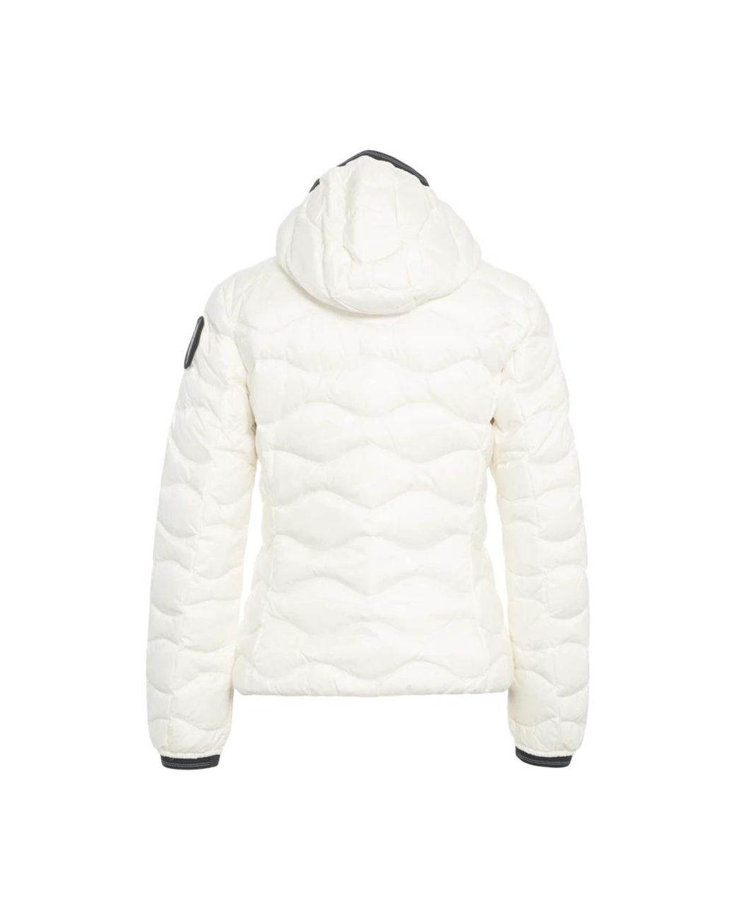Down Jackets di Blauer in White