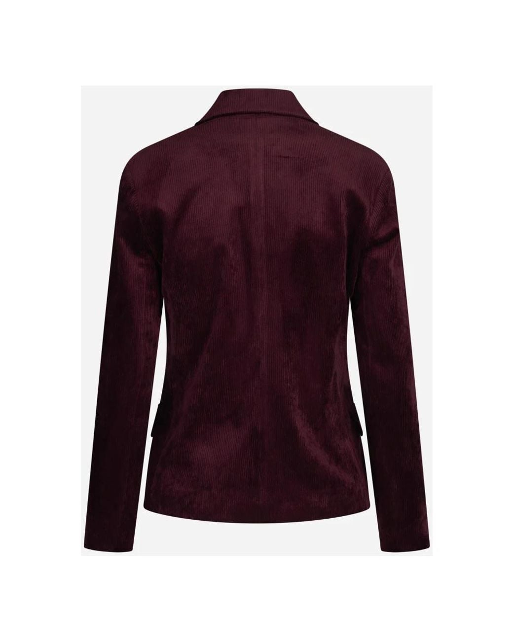 Blazers Antonelli de color Purple