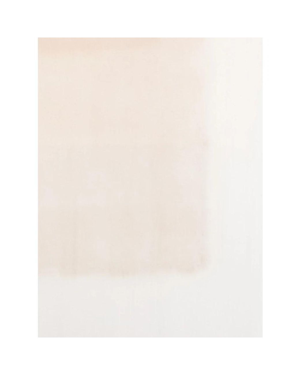 Fabiana Filippi White Scarves