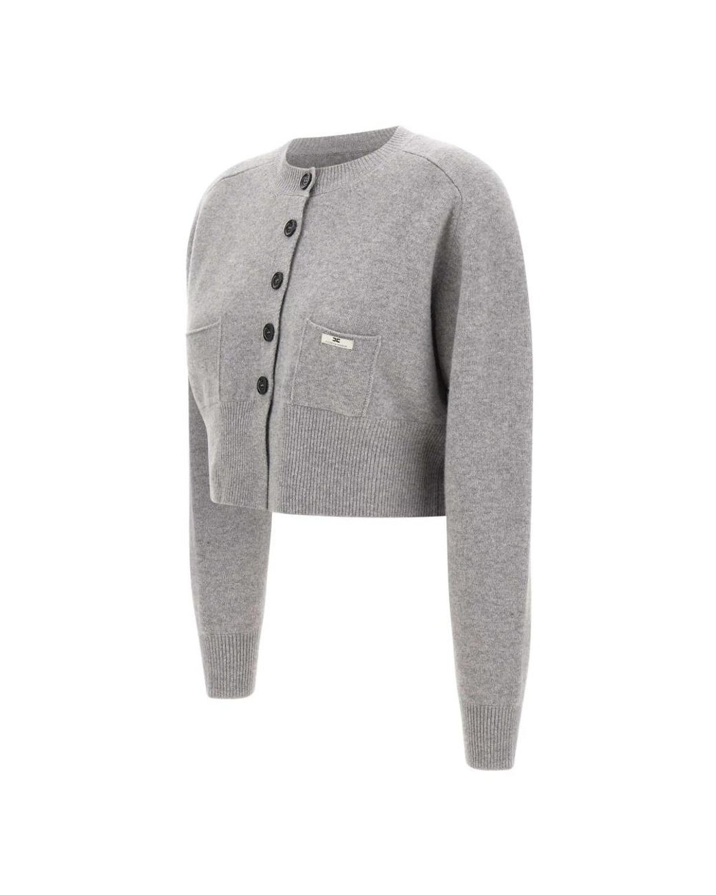 Cardigans Elisabetta Franchi de color Gray