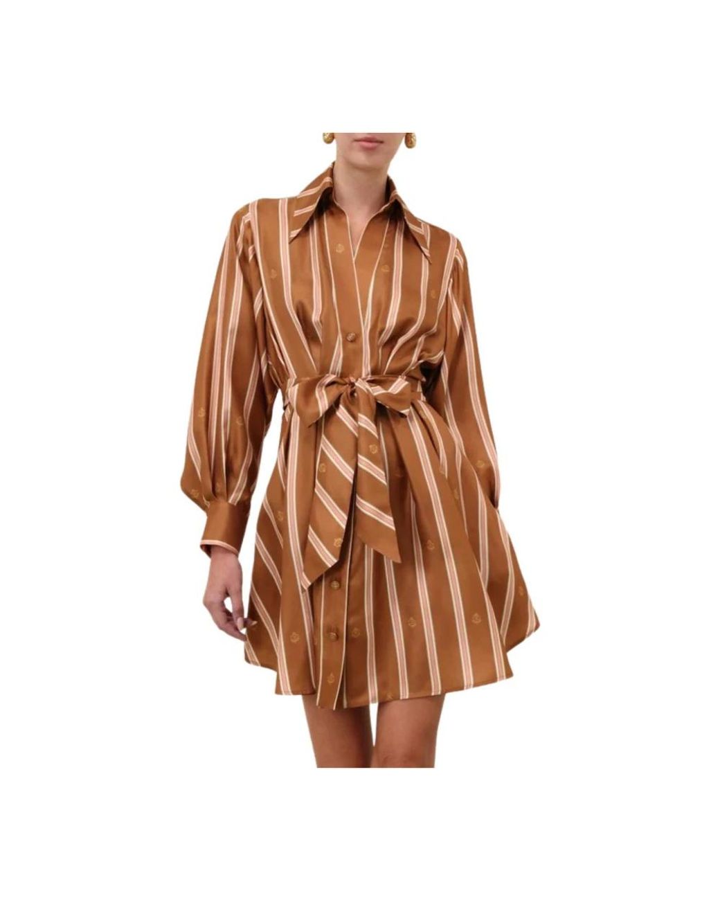 Zimmermann Brown Shirt Dresses