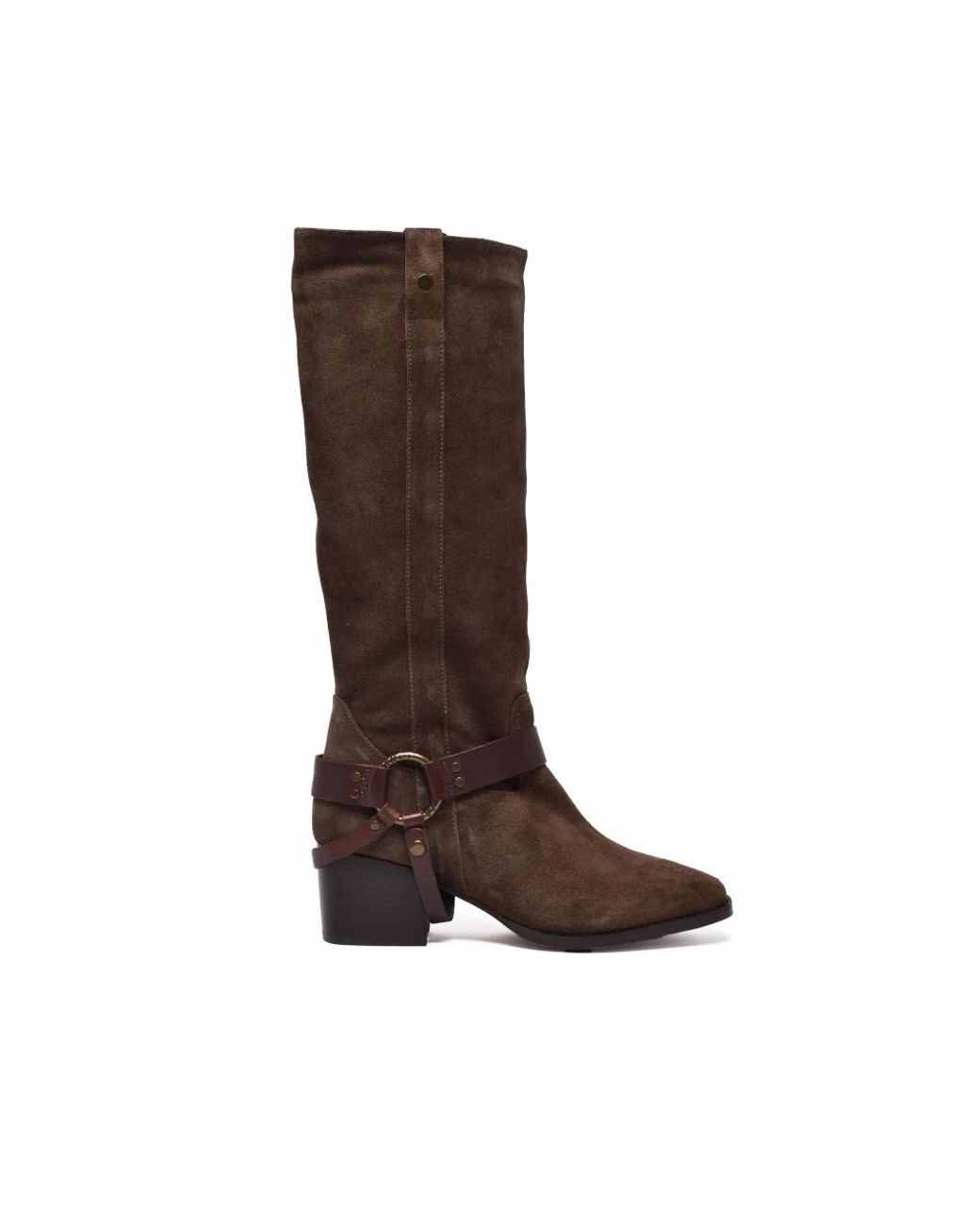 Janet & Janet Brown Cowboy & Biker Boots