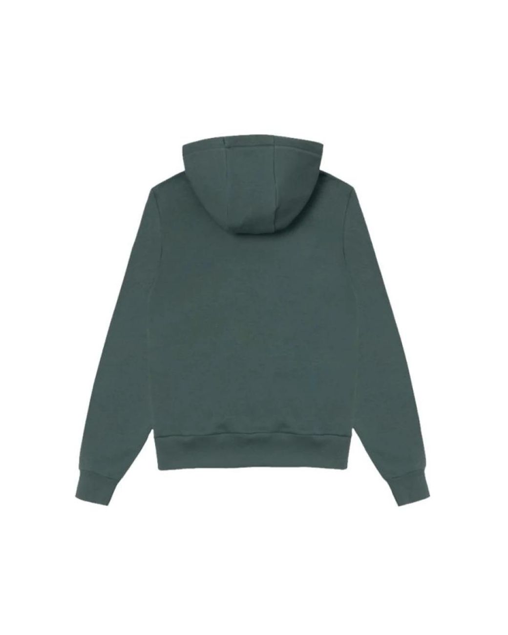 Colmar Green Hoodies for men