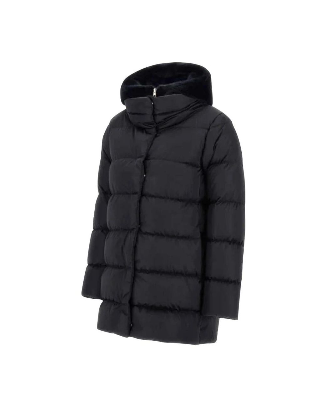 Herno Down Coats in het Black
