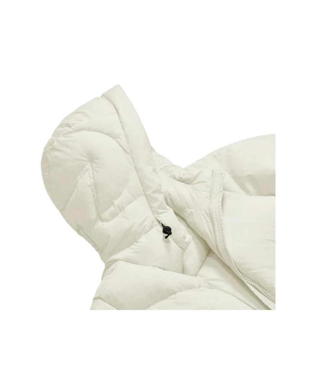 Winter Jackets INVICTA WATCH en coloris Natural