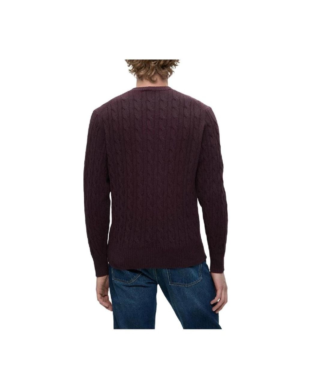 Lacoste Purple Round-Neck Knitwear for men