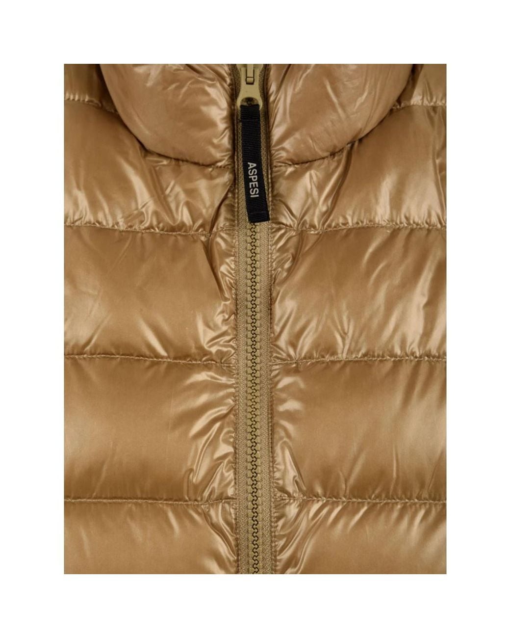 Aspesi Brown Down Jackets