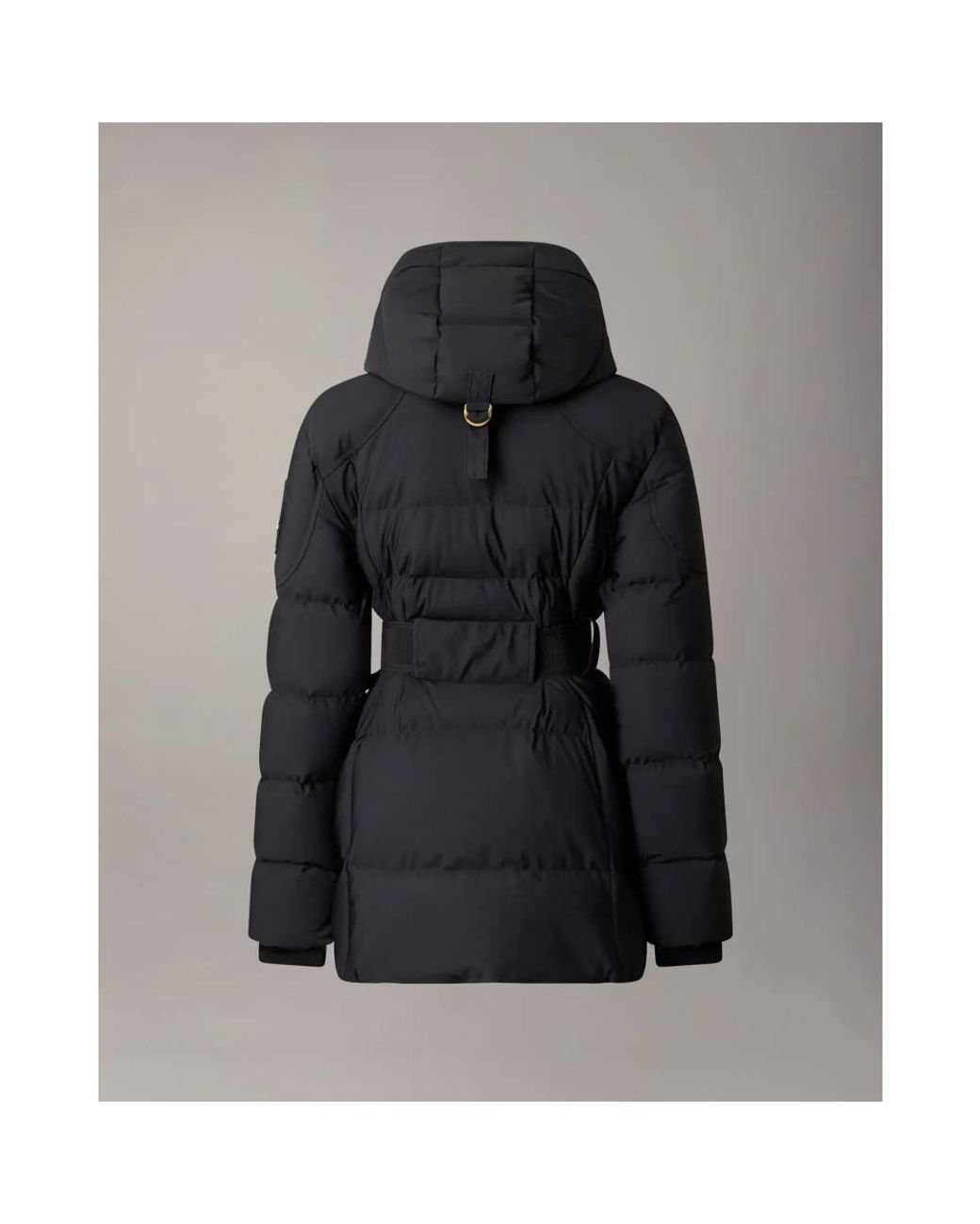 Winter Jackets Moose Knuckles de color Black