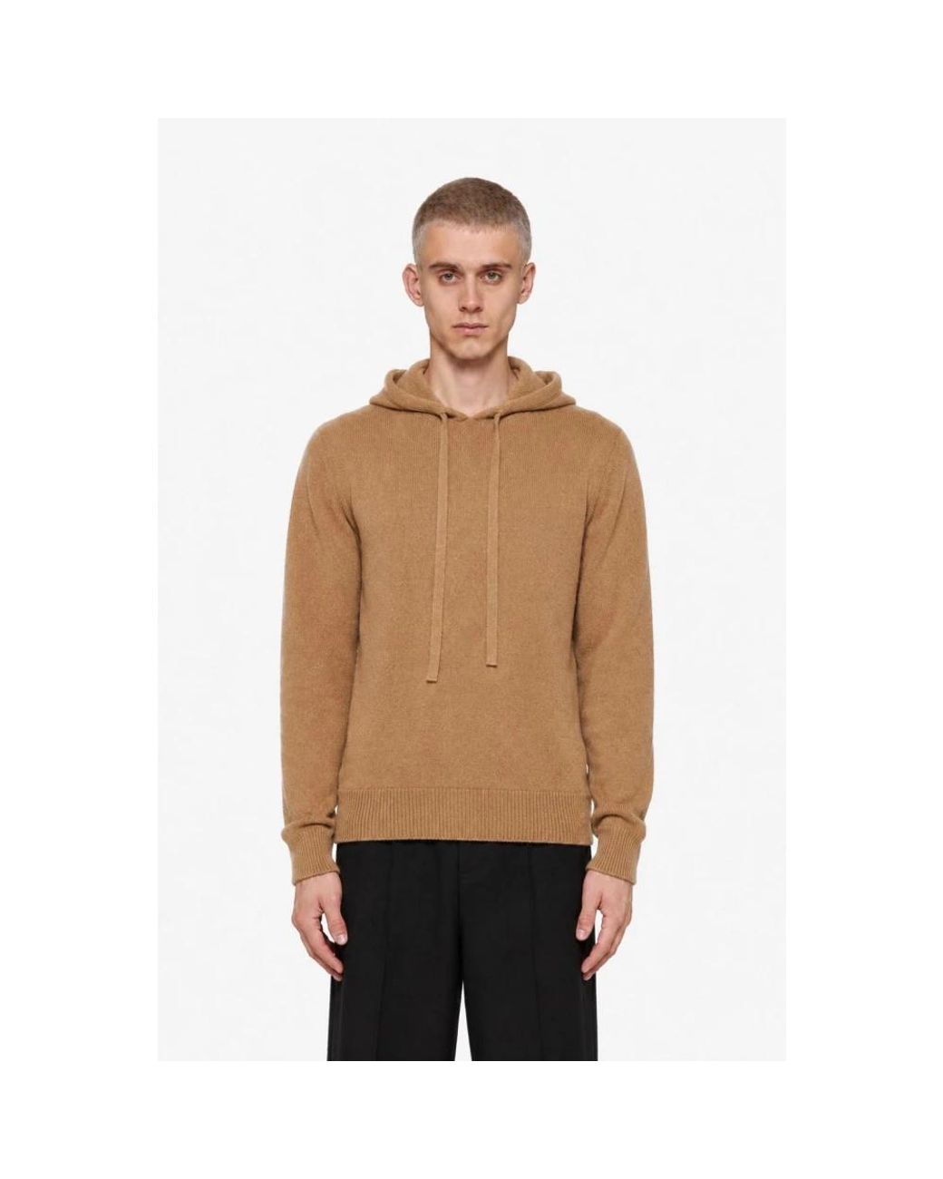 Laneus Brown Hoodies for men