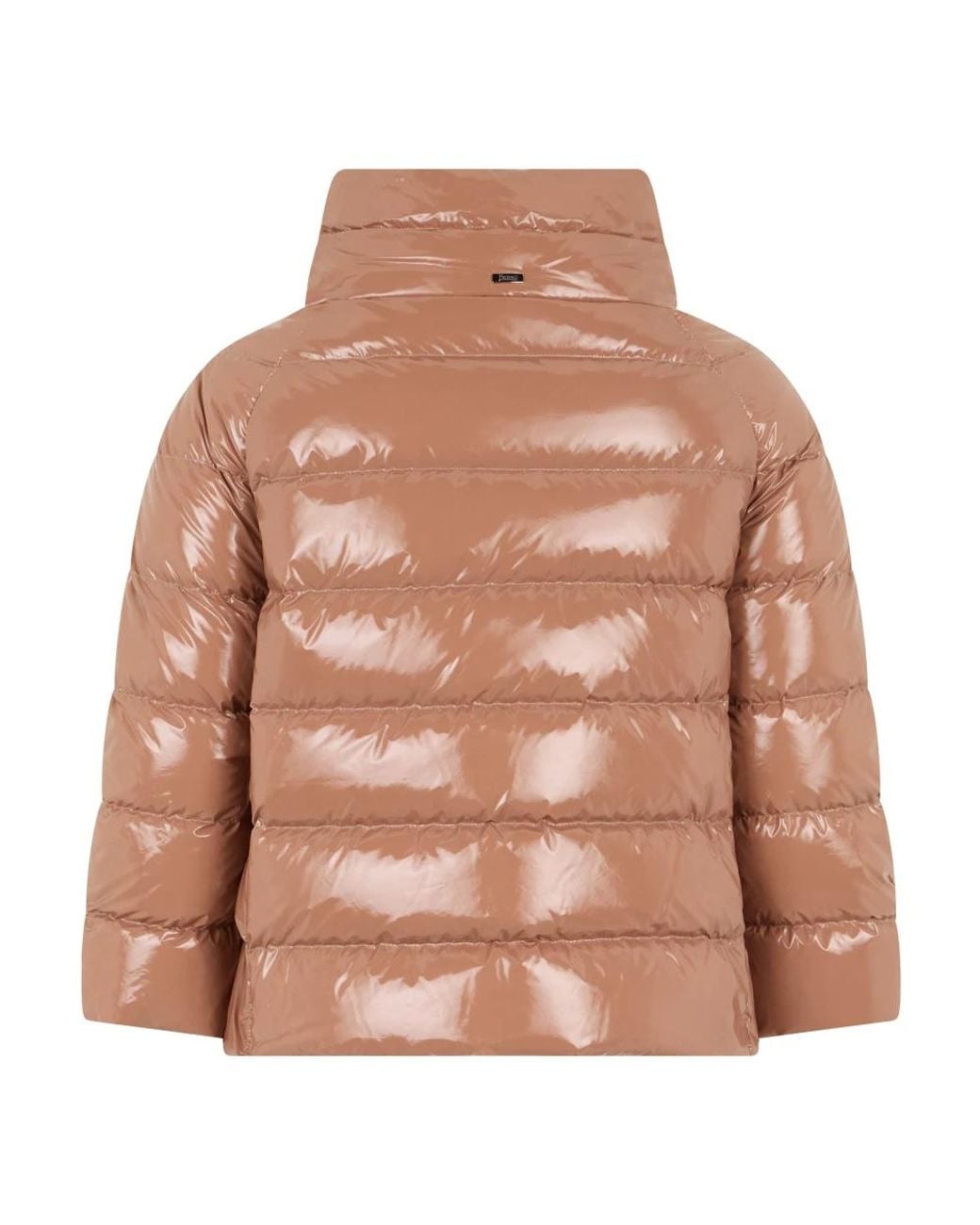 Winter Jackets Herno de color Brown