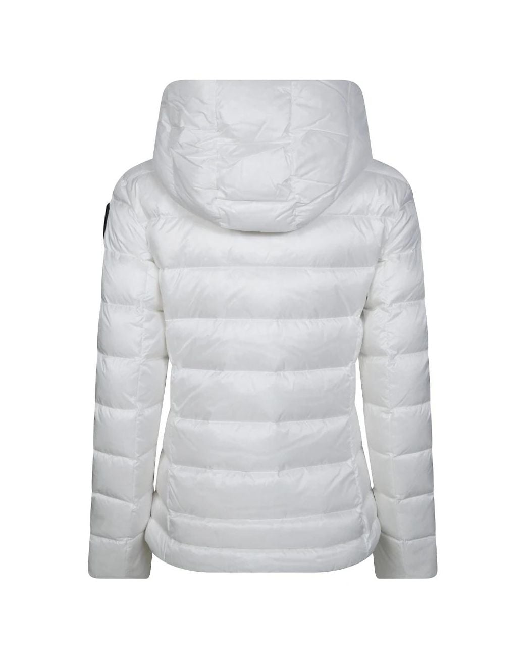 Down Jackets di Blauer in Gray