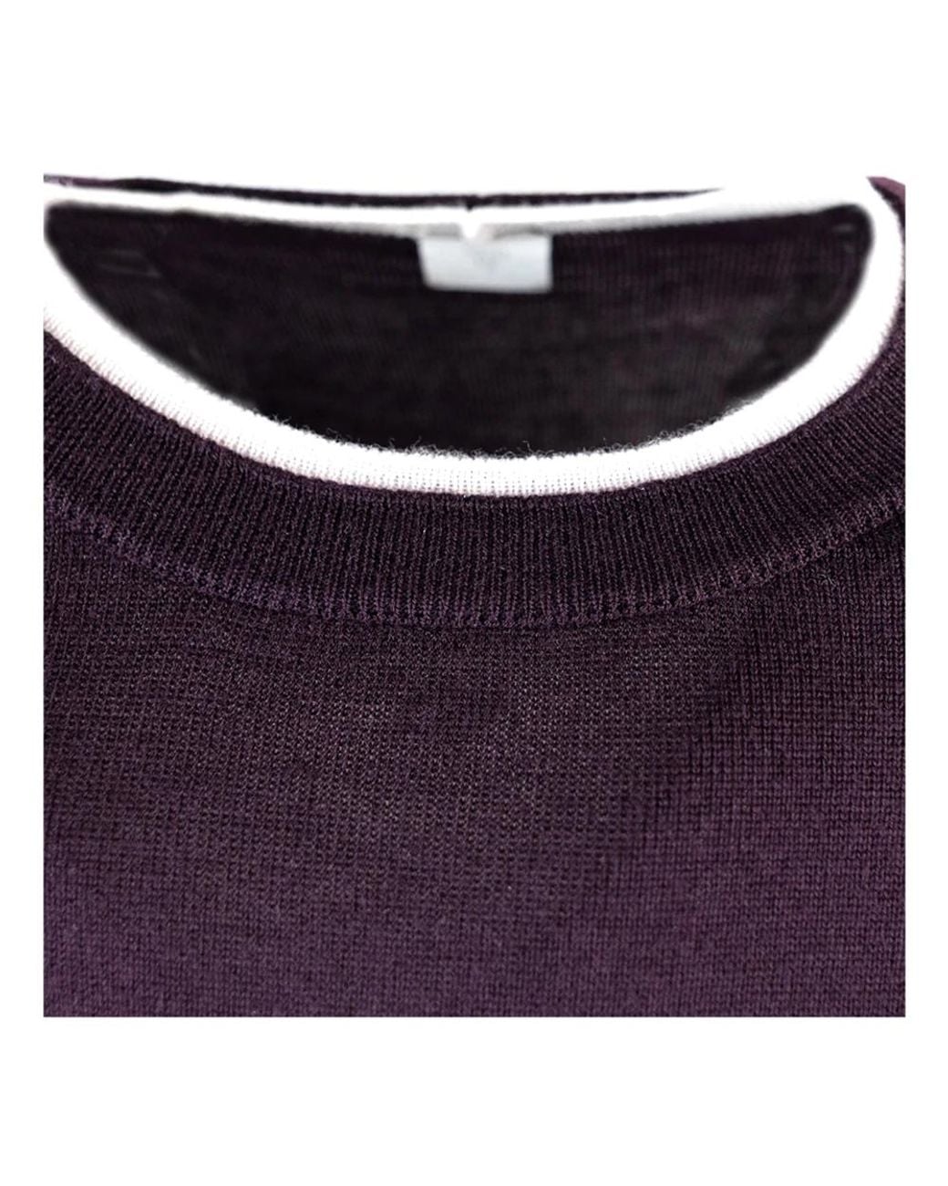 Eleventy Purple Round-Neck Knitwear for men