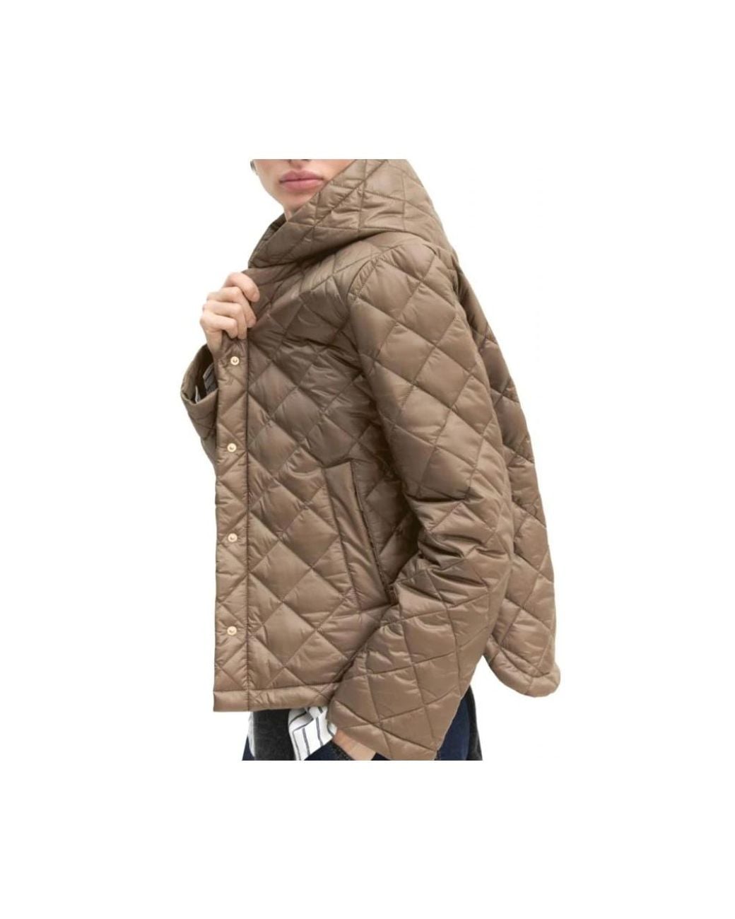 Marella Brown Light Jackets