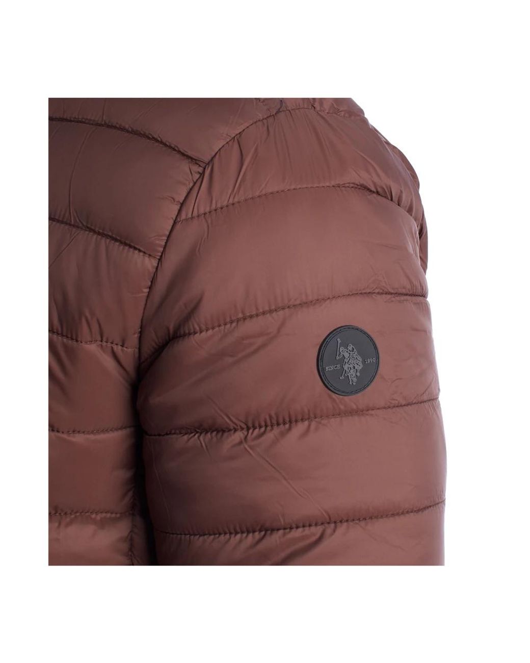 Winter Jackets U.S. POLO ASSN. de hombre de color Brown
