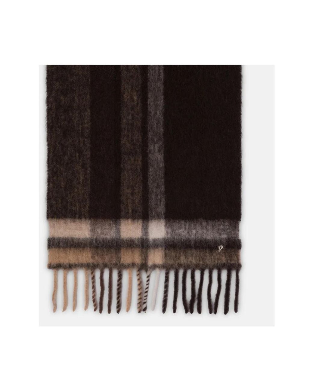 Winter Scarves di Dondup in Brown