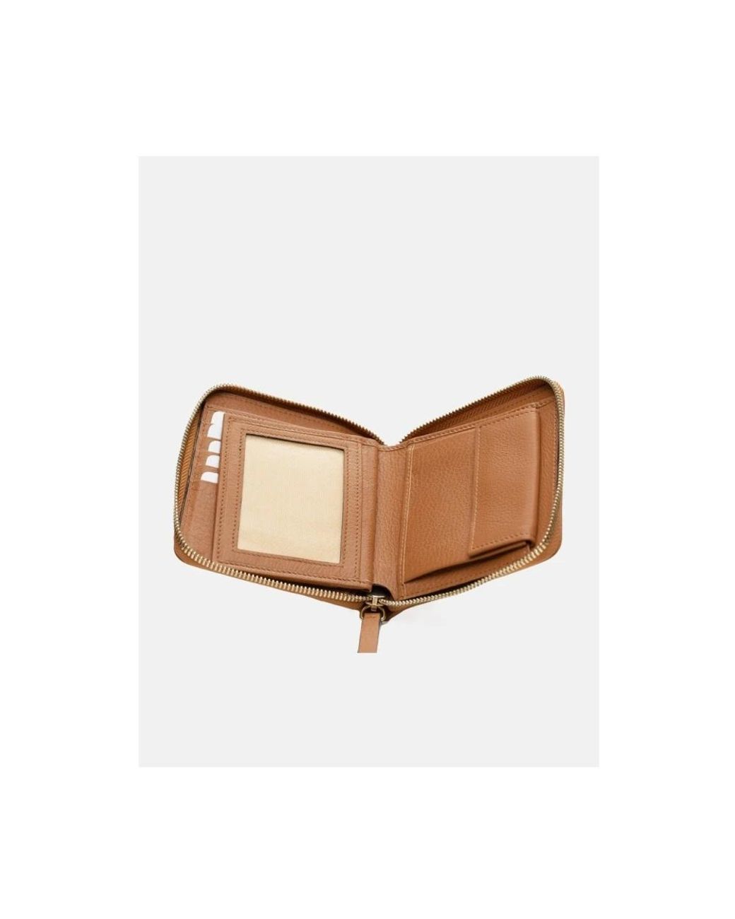 Poche Paris Brown Wallets & Cardholders
