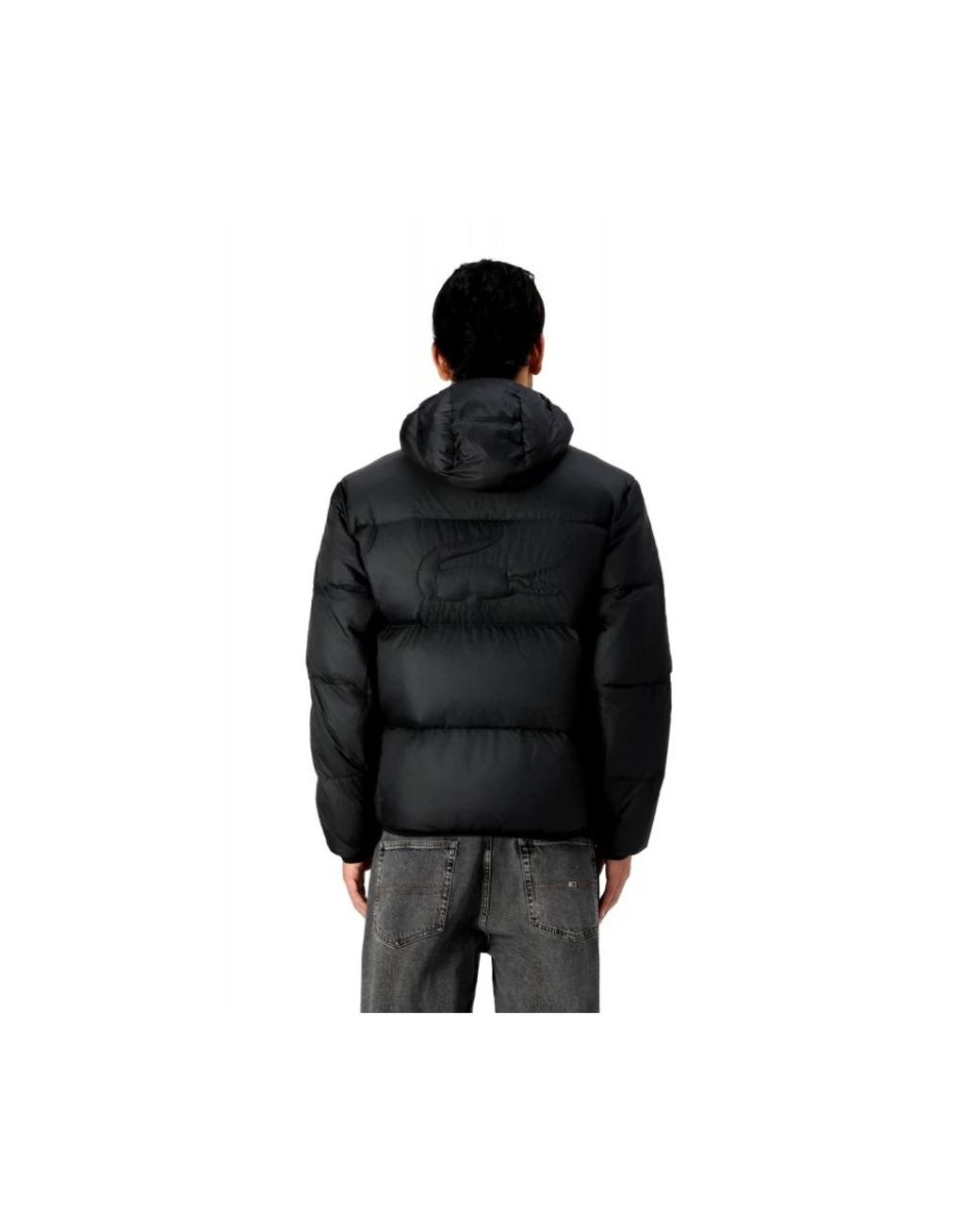 Lacoste Jassen ,Zwart ,Gevoerde En Waterdichte Jas in het Black voor heren