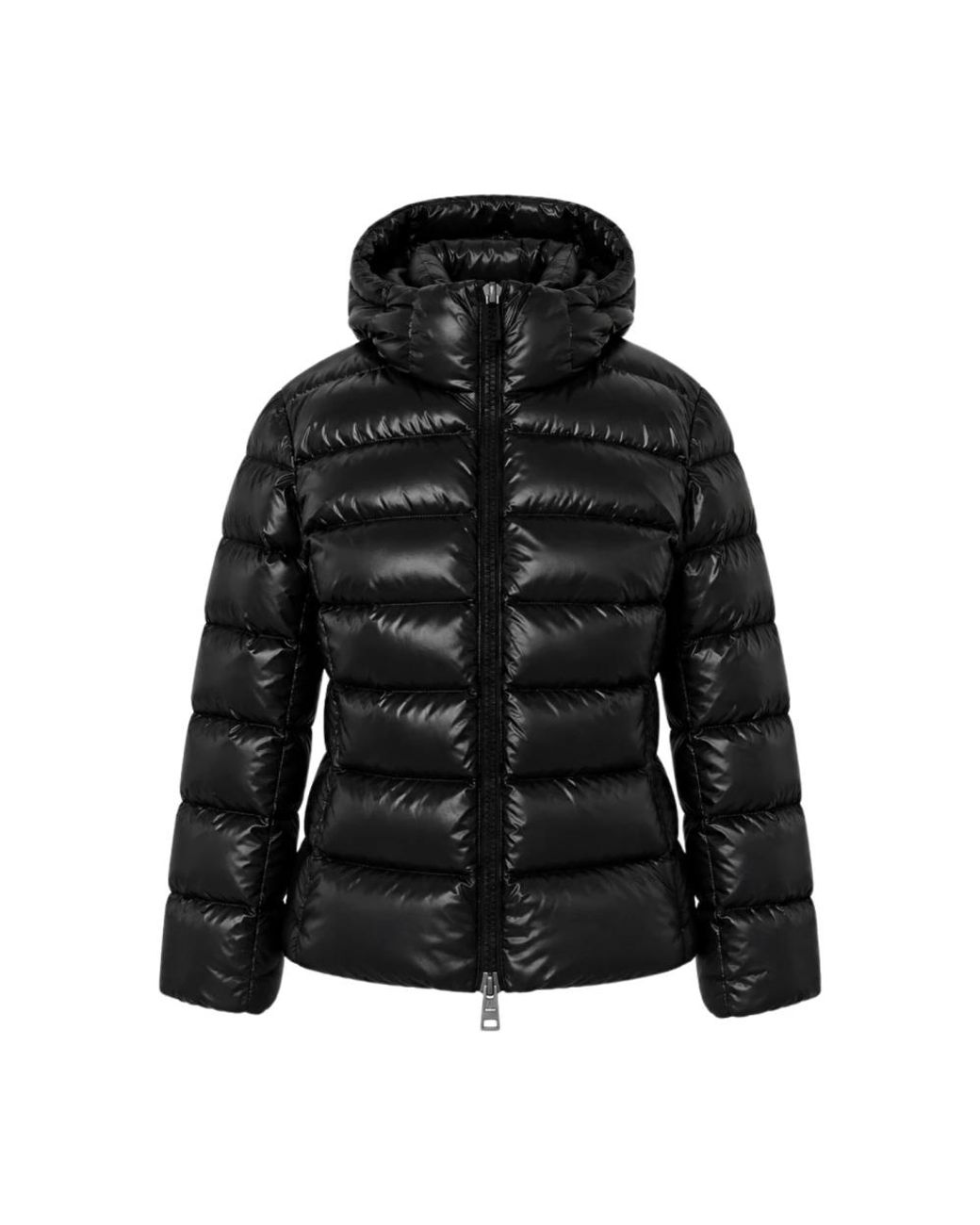 Winter Jackets Herno en coloris Black