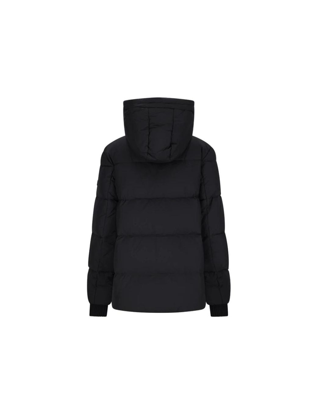 Winter Jackets Tatras en coloris Black