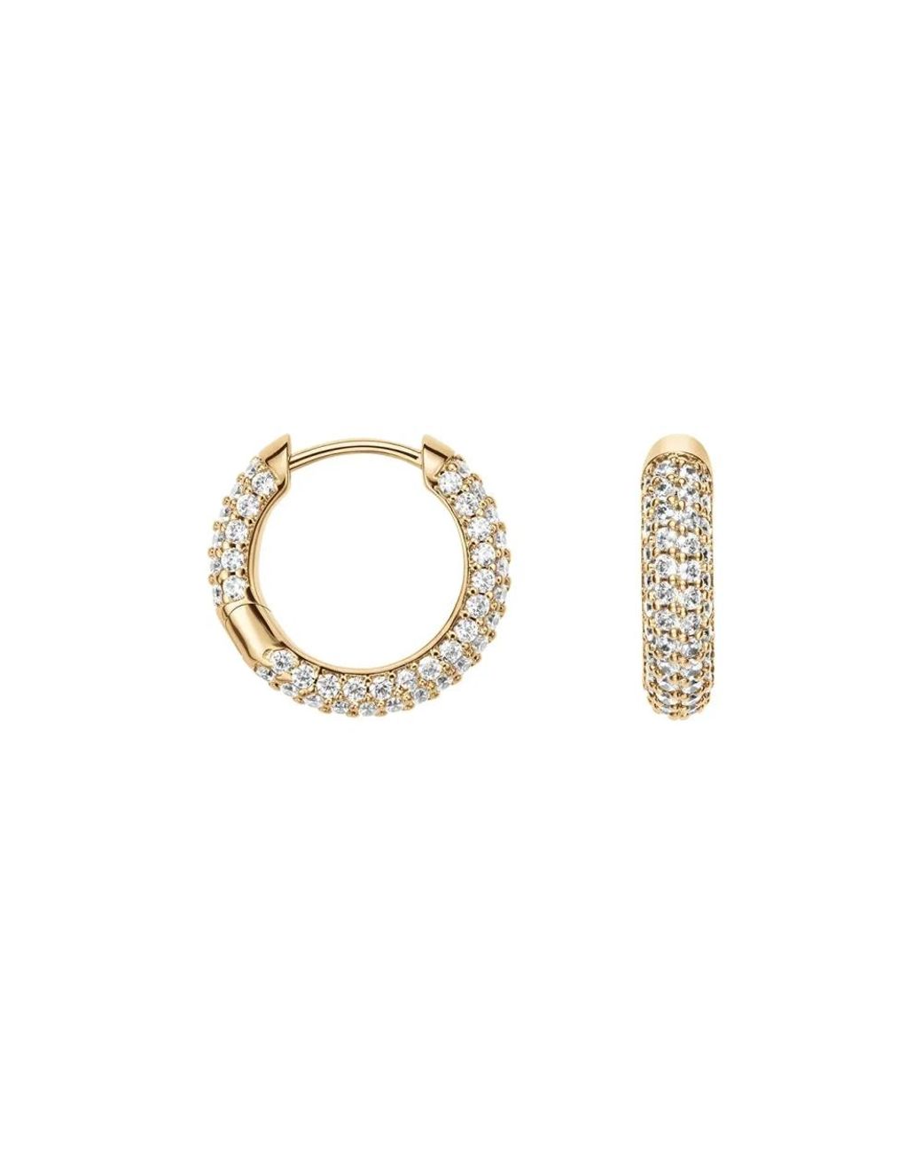 Daniel Wellington Metallic Earrings