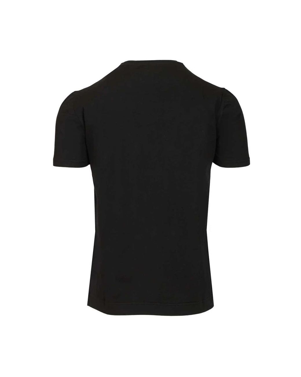 Fedeli Black T-Shirts for men