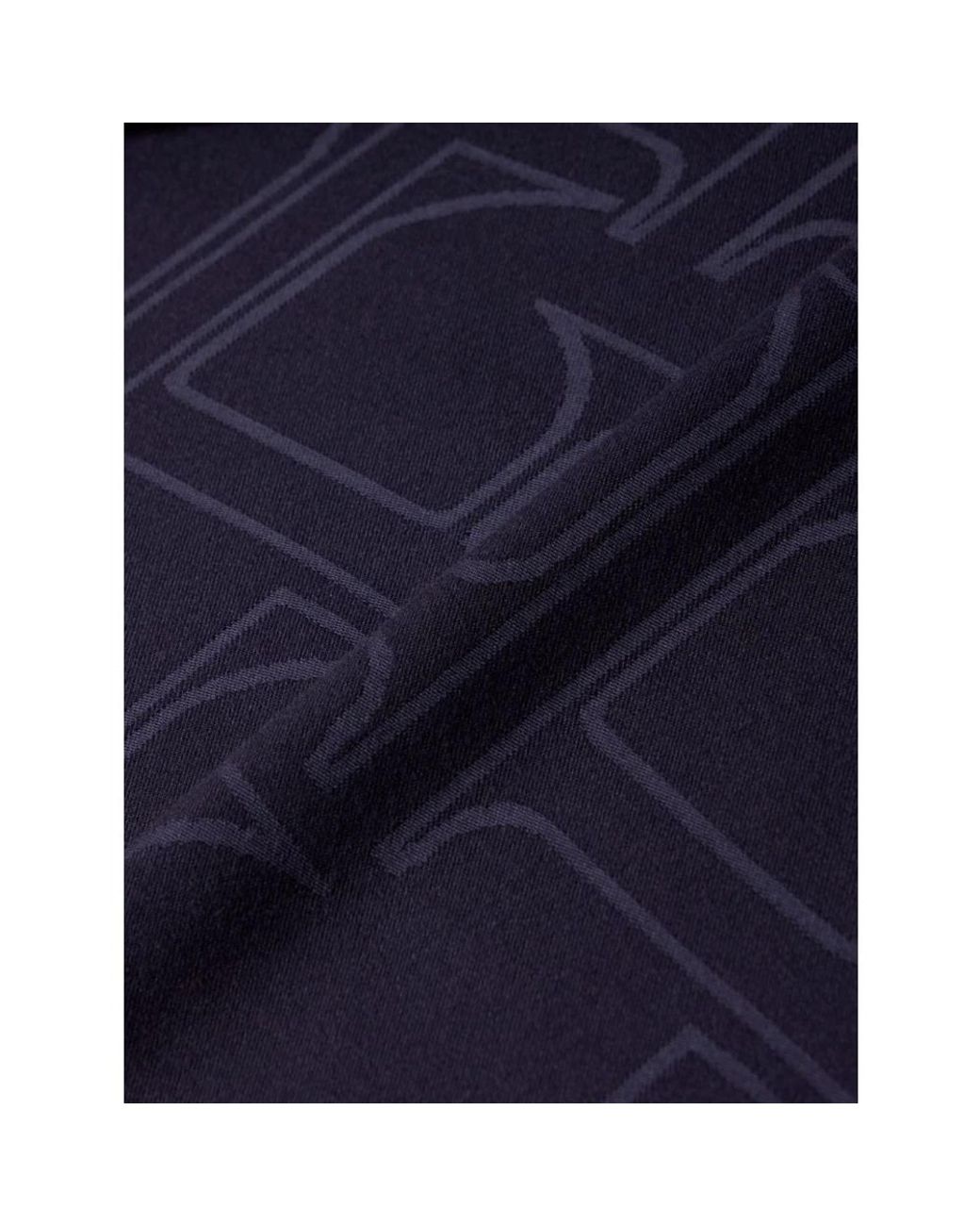 Elisabetta Franchi Blue Scarves