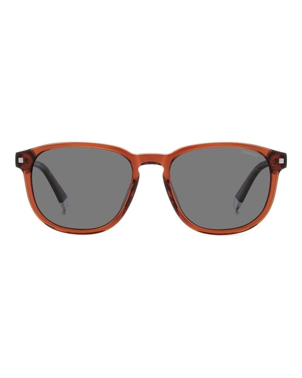 Polaroid Brown Sunglasses for men